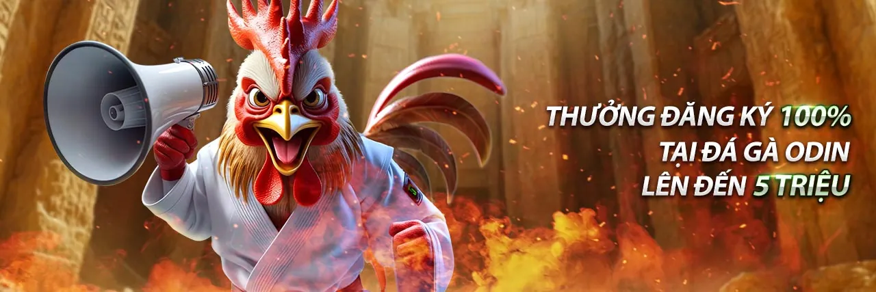 Hình ảnh Điều Khoản Dịch Vụ của 8xx, hiển thị sự minh bạch và bảo mật